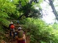 「緑の巨人」立山杉を訪ねて… 剱岳を見あげる中山を歩く＜富山県＞の画像004