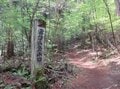 長野県『信州の里山・総選挙！冬山編』第1位！「霧訪山」は春から初夏にはカタクリやニリンソウの群生 “お花畑トレッキング” がおすすめ【塩尻市・辰野町】の画像019