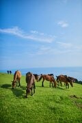 ＜独り占めするのはもったいない＞オーナーの心意気が生んだ宮崎県最南端「最果てのキャンプ場」が最高過ぎた件【絶景キャンプ場ガイド-言葉を失うほどの風景に会いに行こう- vol.16】の画像002