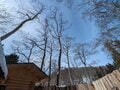 【サウナの聖地体験レポ】お笑いタレントの原田泰造や俳優の磯村勇斗も入った長野県野尻湖畔のサウナ「The Sauna」が本場フィンランド仕様だったの画像010