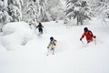 パウダーを狙うなら外せない！ 世界トップクラスの雪が間違いなく楽しめるエリア「北海道パウダーベルト」を知っていますか？の画像005