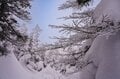 最高の雪質と絶景「焼額山スキー場」が叶えてくれる！  この冬の特別な体験【長野県 山ノ内町・志賀高原】の画像012