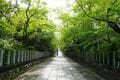 京都駅から40分、穴場の絶景「向日市・竹の径」レポ！  有名スポット「嵐山・竹林の小径」より見ごたえあり？「孟宗竹1.8㎞」ハイキングの画像001