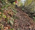 「山が好きなら整備してみない？」 信越トレイルの登山道を整備するワークショップに参加してきた！ 『Trail Maintenance Meeting 2024』体験レポートの画像007