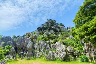 NHK朝ドラ『ちむどんどん』の舞台！  ユネスコ世界自然遺産「世界最北端」熱帯カルストの「大石林山」で「ドリーネ・タワーカルスト・ピナクル」奇岩だらけの独特すぎる絶景に出会える沖縄北部「やんばる」の魅力とは？