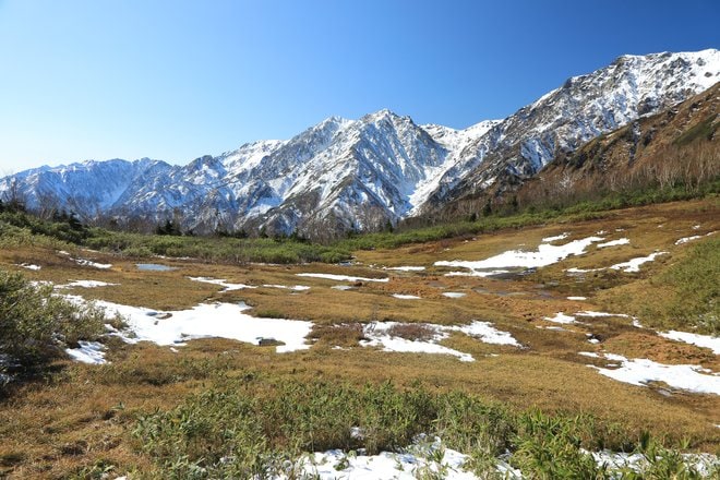北アルプスに抱かれた高層湿原ならではの紅葉模様「栂池自然園」の画像006