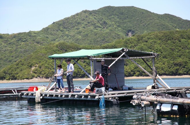 【徳島県鳴門市】1日1組限定！ 瀬戸内の絶景の海を眺めながら貸し切りの海上筏で手ぶらでフィッシング＆BBQ 「アオアヲ ナルト リゾート」のご当地アクティビティの画像002