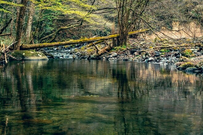 【渓流釣り】雪代を避けて釣り行脚！「初めての道、新しい景色、素晴らしい渓相にウキウキでフライフィッシング」 群馬県｜2026年の画像007