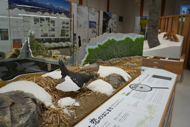 一度の来館じゃ物足りない！ 大人も子どももハマる“遊び心”あふれる「妙高高原ビジターセンター」【妙高戸隠連山国立公園】の画像002