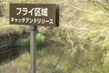 富士山・花筏・ライズ「セレクティブなトラウトたちに一喜一憂！」サイトフィッシングを楽しむ忍野の春【渓流釣り】の画像006