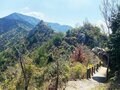 瀬戸内海の「神の島」愛媛県・大三島の大山祇神社と最高峰・鷲ヶ頭山からの「多島美」を望む絶景ハイキングの魅力とは？の画像003