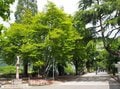 世界遺産ドロミティ山塊の玄関口の街は軽食もドルチェも満載の食べ歩き天国！ ビアホールで味わう絶品郷土料理も！【ブーツの国の街角で vol.03「ボルツァーノ」イタリア：トレンティーノ＝アルト・アディジェ州】の画像017