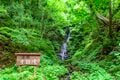 【梅雨の晴れ間】自然豊かな信州百名山・虫倉山  短時間で楽しめる里山歩き！「下山後は山奥の古民家で“おやき”に舌鼓」長野県／2022年の画像002