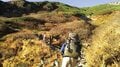 この秋に行きたい！ 至極の紅葉登山【第2回】氷河が作った奇跡の山岳紅葉「北アルプス・涸沢カール」と「中央アルプス・千畳敷カール」の画像004