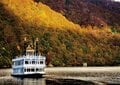見頃を迎え「紅葉」真っ盛り！  秘境・奥只見湖の「絶景クルーズ」へ【新潟県魚沼市】の画像010