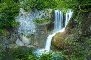 【夏休み】涼を求めて！ 猛暑からの逃避行「滝めぐり・奥志賀渓谷で原生林トレッキング」長野県・志賀高原