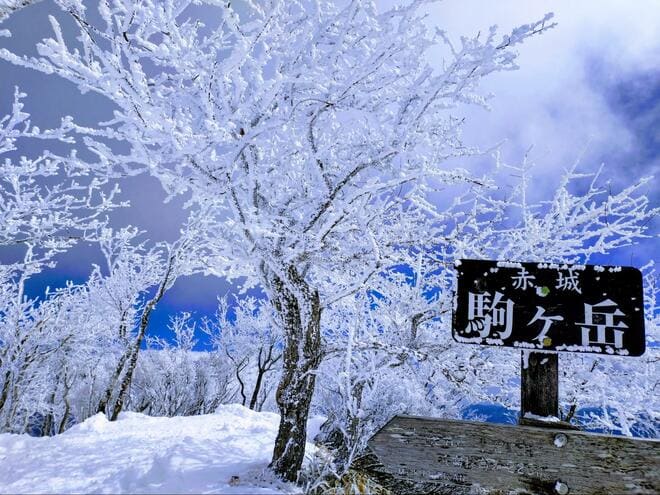 自然が生み出す “氷の芸術”！  1月・日本百名山「赤城山」真冬の絶景！  びっしり育つ「青の氷瀑」＆北海道で見られる「アイスバブル」も【現地レポ】の画像008