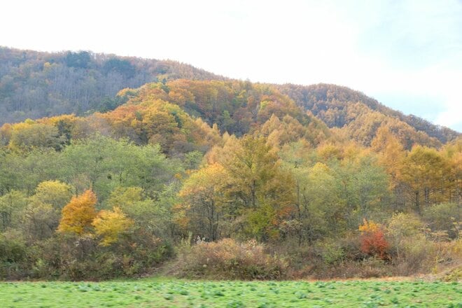 「八ヶ岳×紅葉×秘湯×高原グルメ」の贅沢プラン！  11月の ”おすすめドライブコース国道141号線” が紅葉の最盛期の画像010