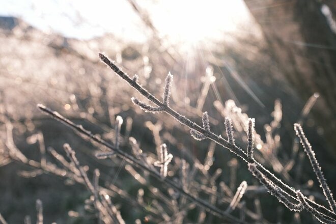 うっすら雪化粧に、立ちのぼる湯煙…「2月のくじゅう連山」にひろがる冬の絶景！  人気の初夏や紅葉シーズンにはない魅力「登山レポ」の画像011