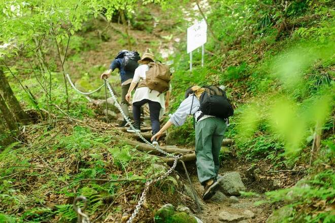 高尾山の登山