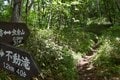 【梅雨の晴れ間】自然豊かな信州百名山・虫倉山  短時間で楽しめる里山歩き！「下山後は山奥の古民家で“おやき”に舌鼓」長野県／2022年の画像003