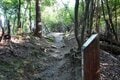 早起きは三文の得！  “始発ハイク”＆街歩きのススメ【京都編】の画像005
