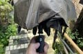 【男子日傘】大人気！ 雨も街でもOKの「WAQ フィールドアンブレラ」 アウトドアブランドの品質と機能＆デザイン性が日常でも使いやすい！の画像006