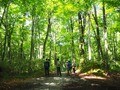 「あいさつ・登山届・落下物」ほか… 登る前に覚えておきたい5つの「登山最低マナー」とは？の画像001
