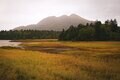 【百名山】紅葉始まる尾瀬のシンボル「燧ヶ岳」登山と「尾瀬沼」ハイキングの欲張りプラン〈福島県〉2023年の画像004