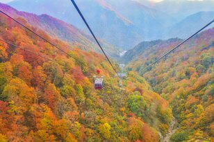 谷川岳の “谿紅葉” を空中散歩！ ロープウェイとリフトで手軽に紅葉狩り《群馬県》2022年