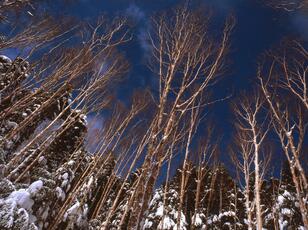 「まるで宇宙」紺碧の空「八ヶ岳ブルー」フォトレポート！  現地10年通いライターが魅了される「最も美しい場所」しらびそ小屋＆ミドリ池