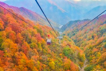 谷川岳の “谿紅葉” を空中散歩！ ロープウェイとリフトで手軽に