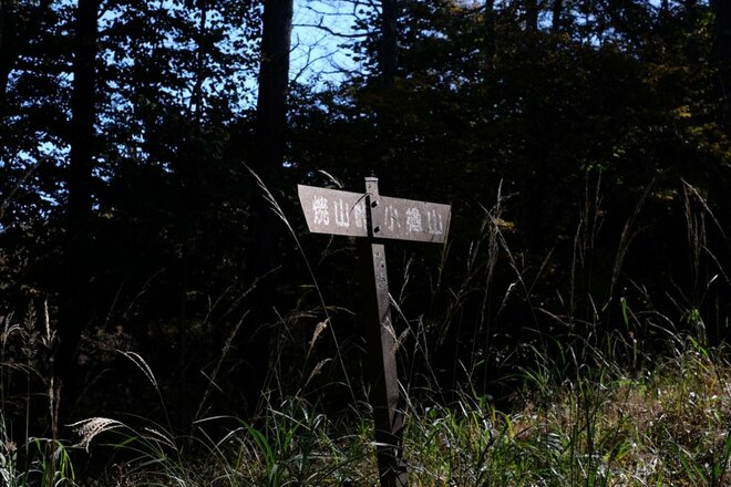 【首都圏近郊】1時間半で登頂できる山梨の隠れ名山「小楢山」紅葉の見頃はもうすぐ！の画像002