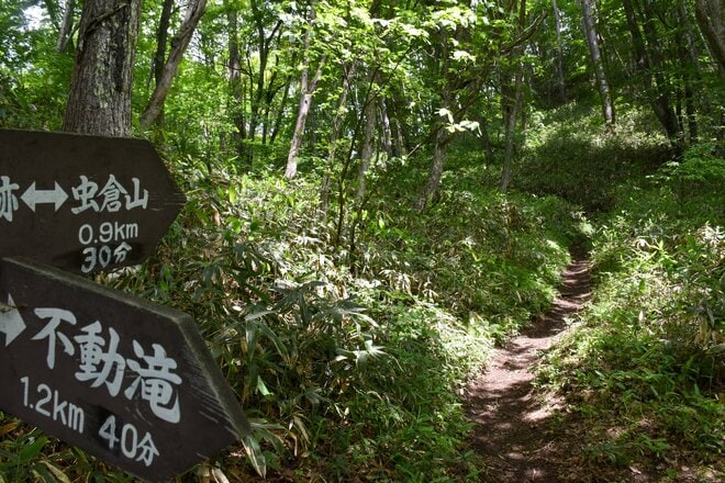 【梅雨の晴れ間】自然豊かな信州百名山・虫倉山  短時間で楽しめる里山歩き！「下山後は山奥の古民家で“おやき”に舌鼓」長野県／2022年の画像003