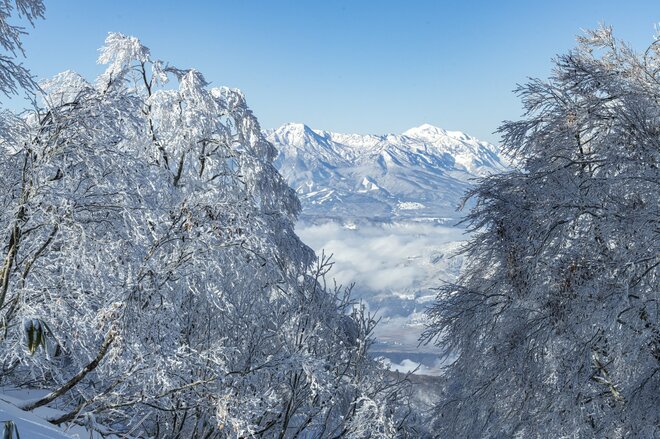 「ブナの森に咲く雪の花」が美しすぎるとSNSで話題！  標高差789ｍを最新型ゴンドラで「霧氷の世界」へ！  信州・野沢温泉スキー場【2021・初冬】の画像009