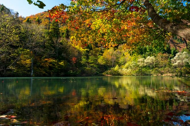 【登山】紅葉の当たり年！ 「白池に映る秋の彩りと山々の絶景を楽しむ、戸倉山の古道歩き」 “塩の道”   新潟県・2025年の画像008
