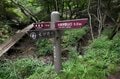 霧島の春はハイライト！  ピンクの絨毯“ミヤマキリシマ”を纏った「韓国岳＆高千穂峰」5月中旬～6月中旬が見頃！【鹿児島県霧島市・宮崎県えびの市】の画像006