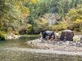 「サウナが苦手な人にこそ知ってほしい」サウナの種類とそれぞれ魅力をいいとこ取りで楽しむ方法のお話【ユーコンカワイの川サウナ研究所 vol.17】の画像004
