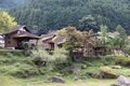 【良い炭があればBBQは“焼くだけで美味い”】食のプロが見た良い炭の代名詞「紀州備長炭」の実力【料理と道具とアウトドア vol.10】の画像010