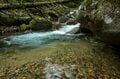 【渓流釣り】そぼ降る雨にしっとりと濡れた渓 「濃い魚影、しかも高活性だけどスレスレのイワナたちにドキドキのフライフィッシング！」 長野県｜2026年の画像004