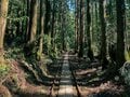 ジブリ映画『もののけ姫』の世界！ 2泊3日、装備14kg、総距離30kmの「世界遺産・屋久島」女子ソロ縦走！「日本百名山・宮之浦岳〜縄文杉〜白谷雲水峡」ルートの画像002