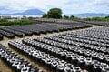 【鹿児島県 霧島市】気分爽快「E-bike」ならではの霧島の旅！  鹿児島空港からはじめる “名所めぐり”「鹿兒島神宮～錦江湾」までの画像022