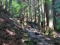 秩父盆地のシンボル「武甲山」ダイナマイトの発破音が鳴り響く“日本武尊”を祀る伝説の山の画像002