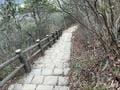播磨の「アルプス」＆「富士」と呼ばれる人気低山「高御位山」！  岩場が連続する絶景の稜線から、ファミリーコースで下山！  登山レポート　の画像006