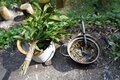 【滝つぼが水風呂！】徳島移住女性オーナーが建てた「森を再生させるDIYサウナ」での唯一無二「大自然サウナ」体験取材の画像011