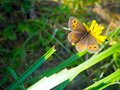 絶景スポット満載！ 1泊2日で歩き尽くす「アヴィック山自然公園」の登山道（前編）【ブーツの国の街角で vol.28】の画像007