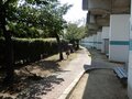 リニューアルされたレトロモダンな駅舎から海へ向かうと意外なものを発見！【南海高師浜線（その2）関西鉄道路線周辺曼荼羅 vol.39】の画像003