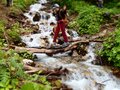 「緑の巨人」立山杉を訪ねて… 剱岳を見あげる中山を歩く＜富山県＞の画像008