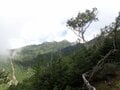 残暑を避けて登りたい「歩き出しから涼しい日帰りがっつりルート」 八ヶ岳・権現岳の画像004
