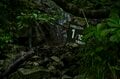 【秋山登山】長雨の合間に…… 絶景だらけの2日間！ 「山頂直下の避難小屋は、天空の撮影スタジオ」 朝日連峰・以東岳　山形県｜2026年の画像003